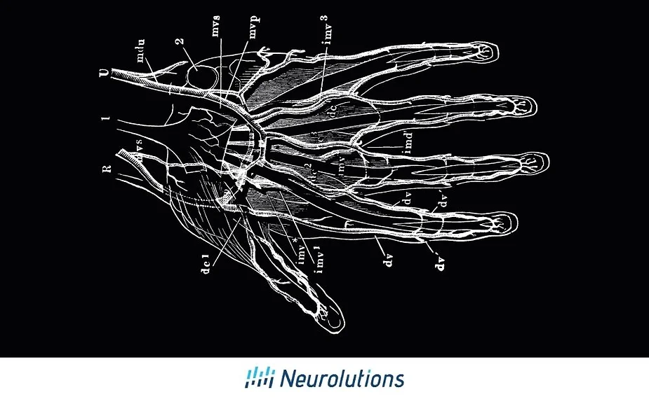 hand diagram