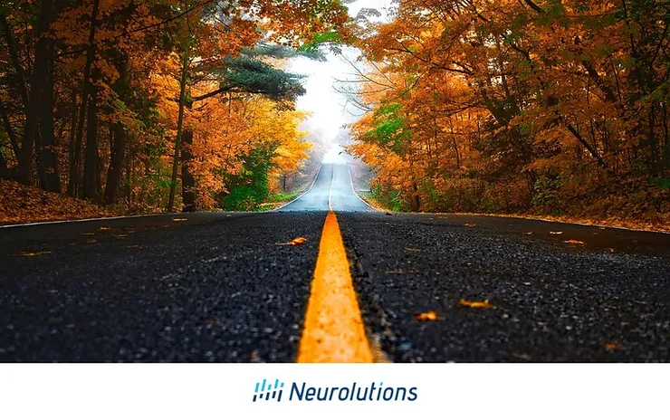 road surrounded by fall trees