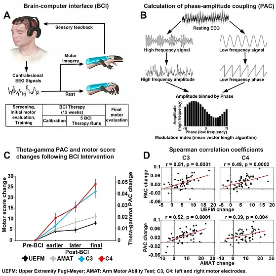 graphic of Study of motor function in patients